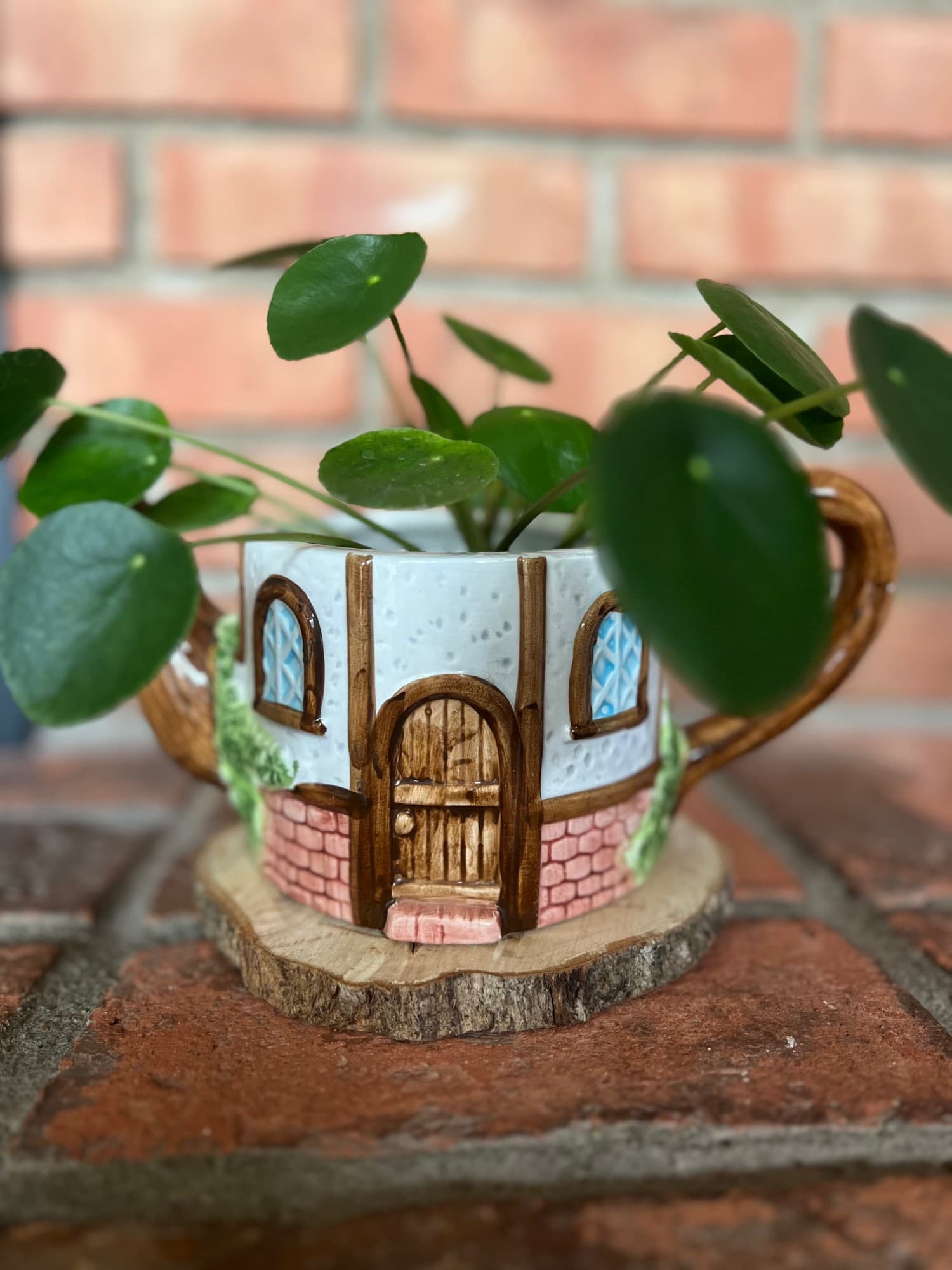 A pilea plant in a cottage-style teapot vessel on a wood round, front view