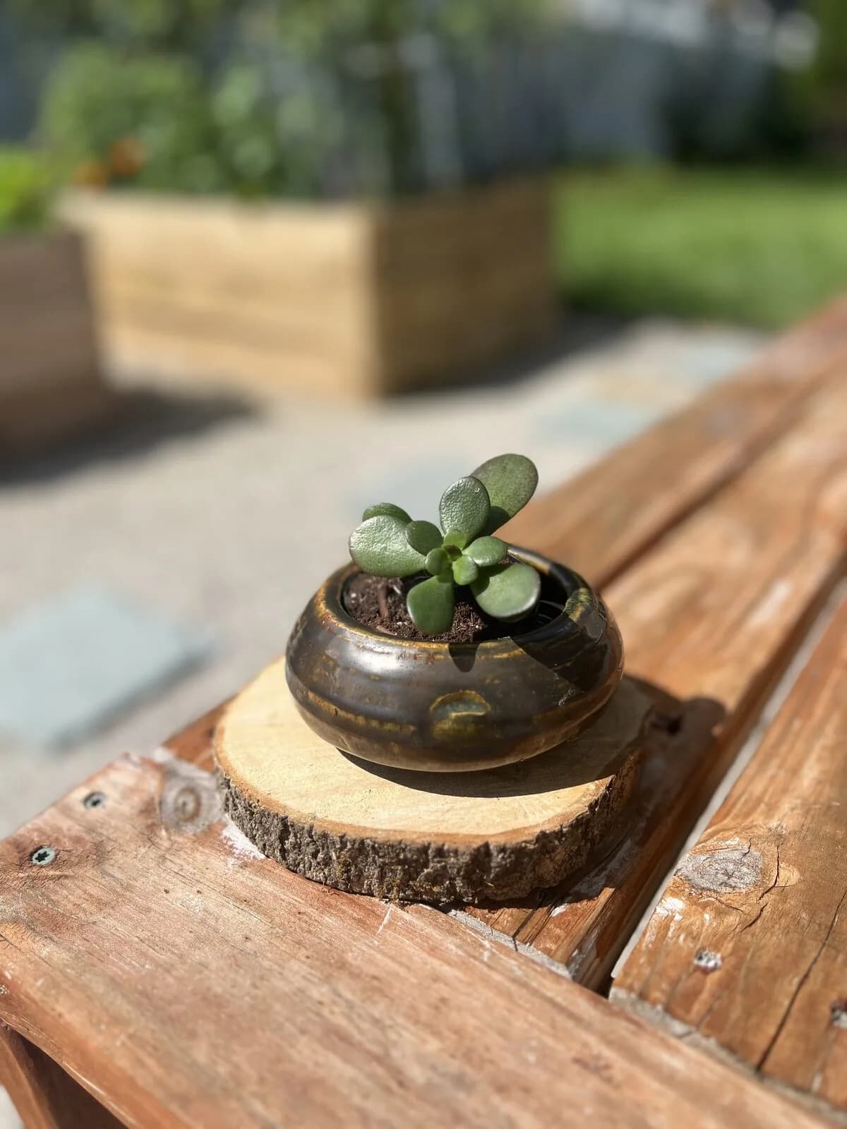 Bronze catchall bowl with baby jade, A palm-sized dark glazed bowl with a tiny jade, made for a desk or sunny windowsill.